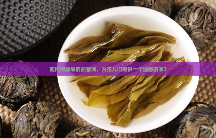 熟普洱茶怎么养花