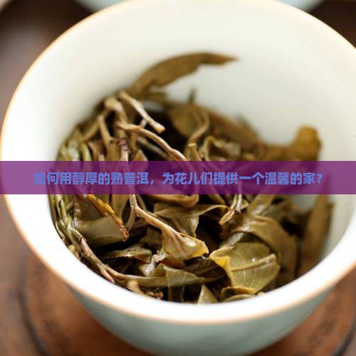 熟普洱茶怎么养花