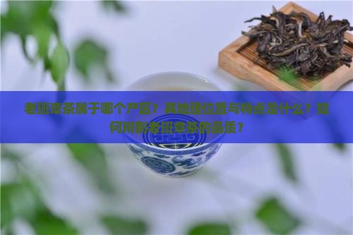老班章茶属于哪个片区