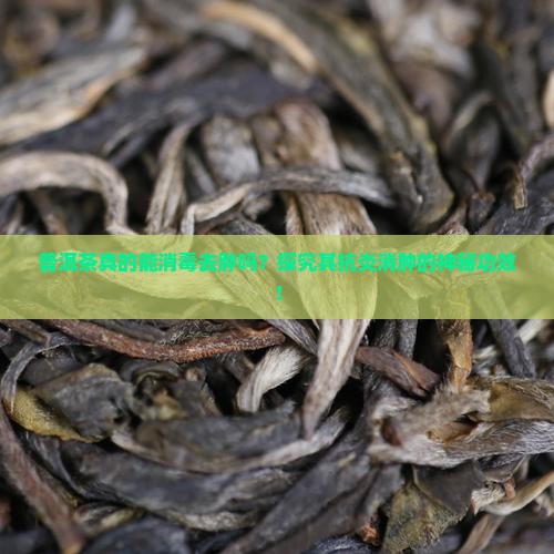 普洱茶是否消毒去肿