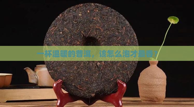 怎样煮饮普洱茶