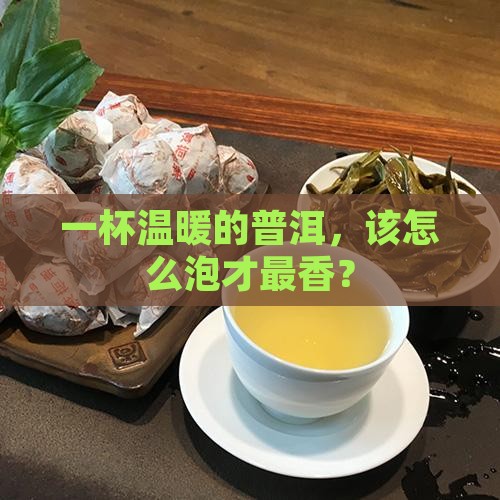 怎样煮饮普洱茶