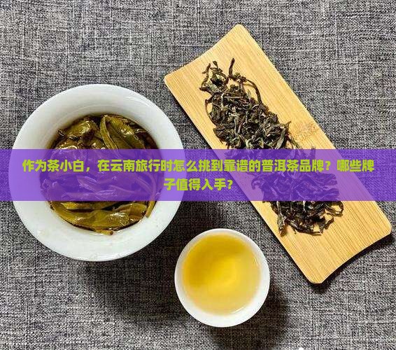 如何云南普洱茶哪个牌子好