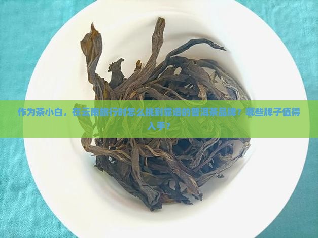 如何云南普洱茶哪个牌子好