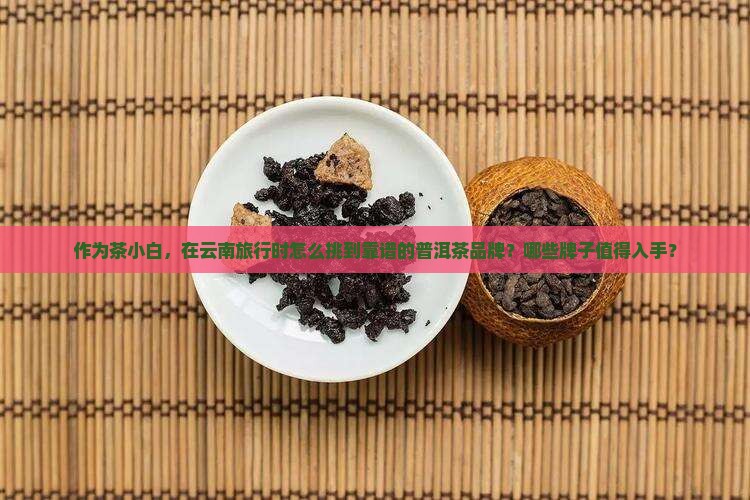 如何云南普洱茶哪个牌子好