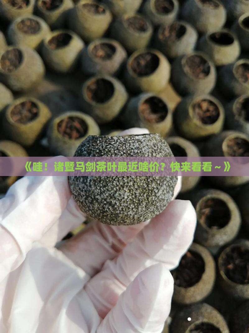 诸暨马剑茶叶价格查询