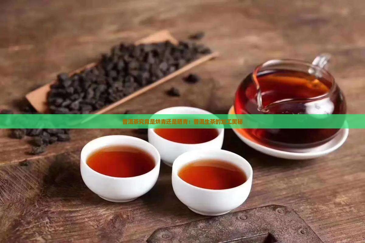普洱茶是烘青还是晒青