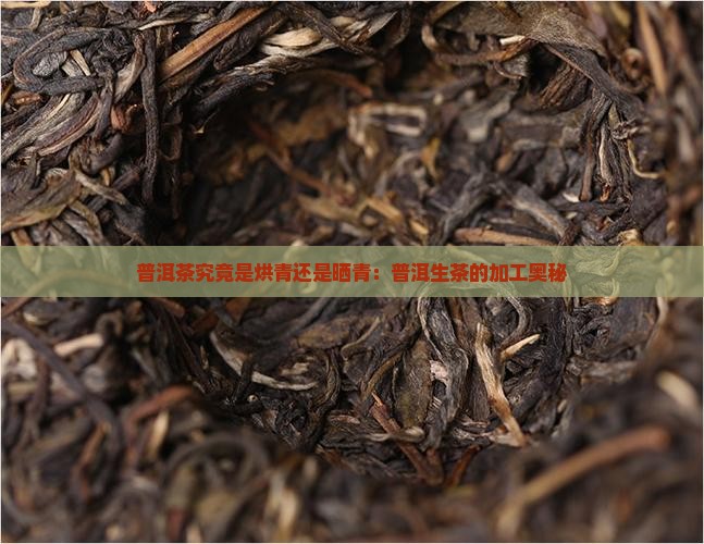 普洱茶是烘青还是晒青