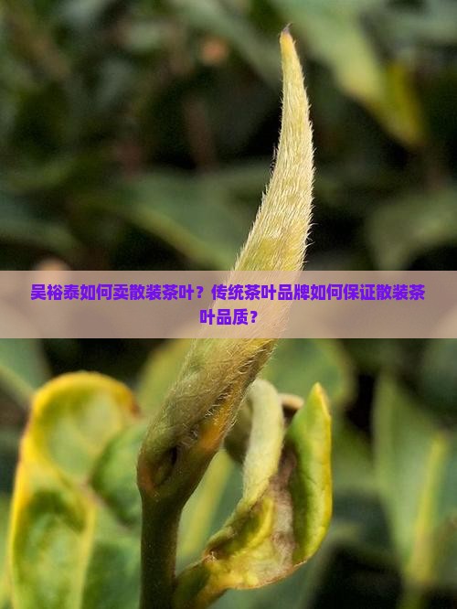 吴裕泰卖散茶叶