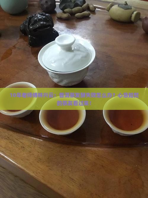 林兴云普洱茶发酵