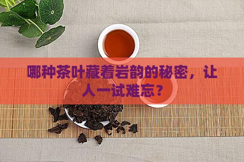以下什么茶叶具有岩韵