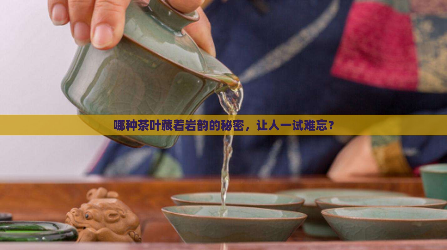 以下什么茶叶具有岩韵