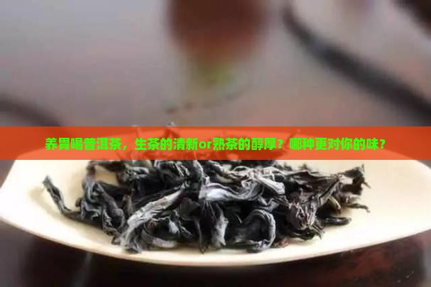 养胃普洱茶生茶好还是熟茶好喝呢