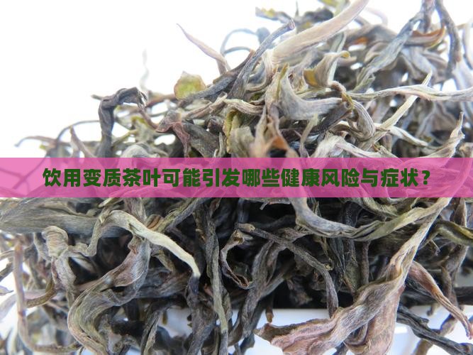 喝变质茶叶有什么危害