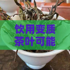 喝变质茶叶有什么危害