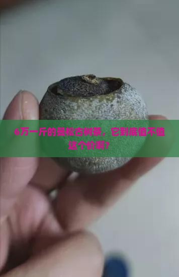 6万一斤的曼松古树茶值多少钱