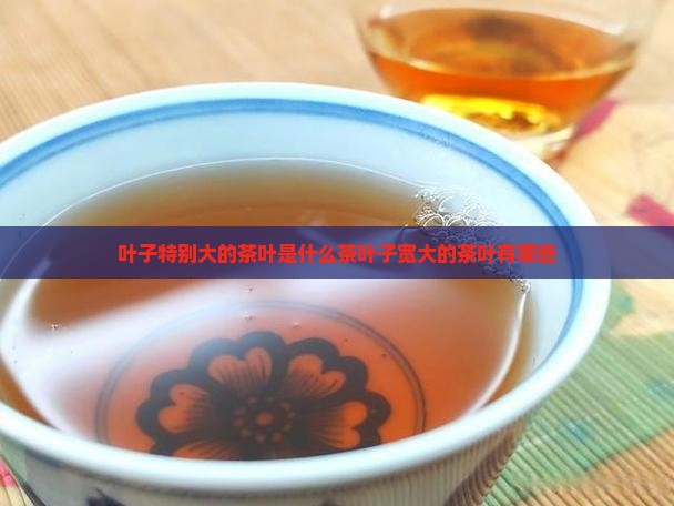 叶子特别大的茶叶是什么茶