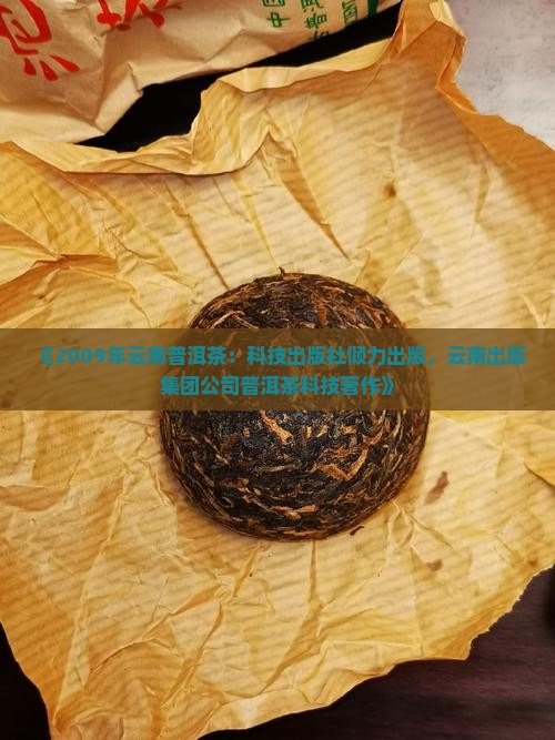 2009年云南省普洱茶