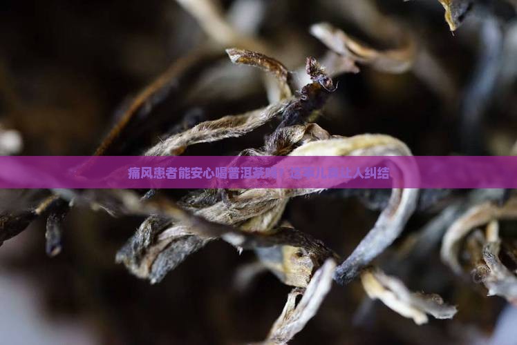 痛风能不能喝普洱茶
