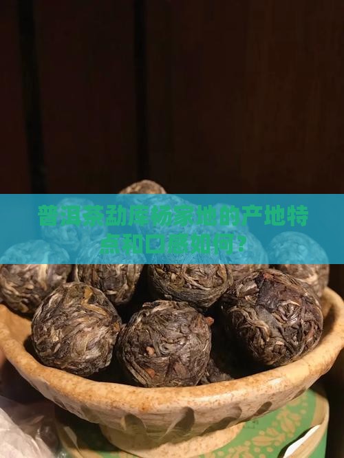 普洱茶勐库杨家地
