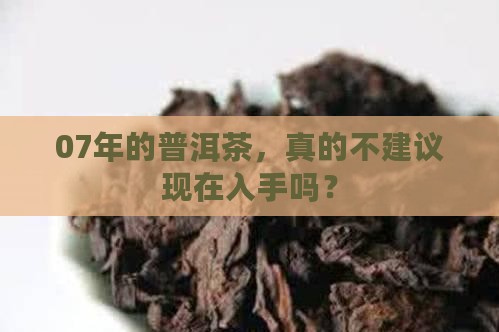 07年普洱茶为什么不建议入手