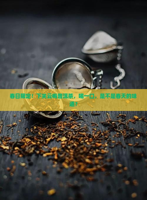 下关云梅春普洱茶