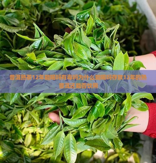 普洱熟茶12年能喝吗