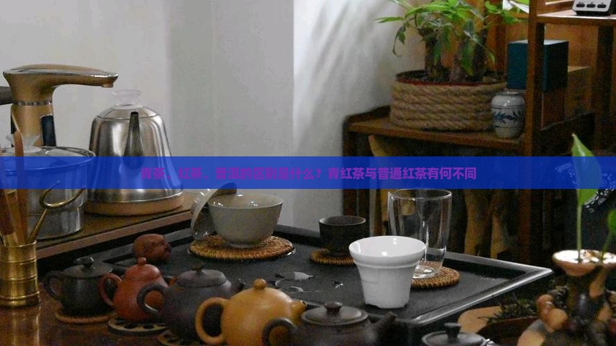 青红茶与普通红茶有何不同