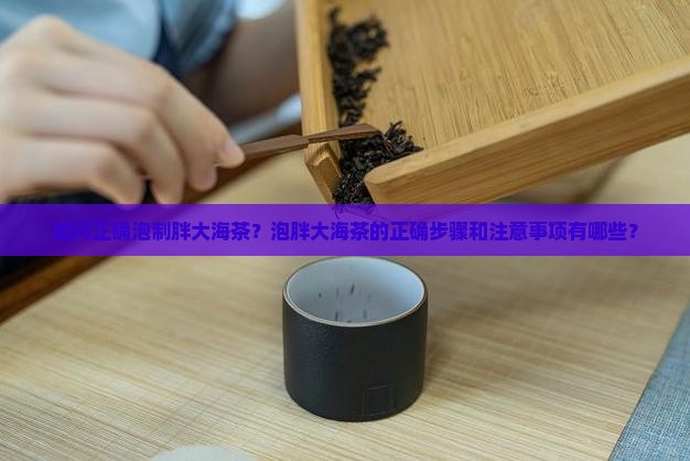 胖大海怎么泡茶