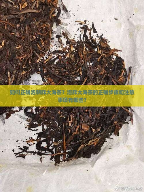 胖大海怎么泡茶