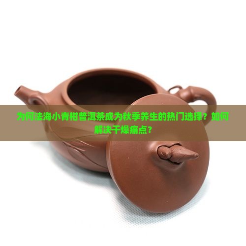 法海小青柑普洱茶