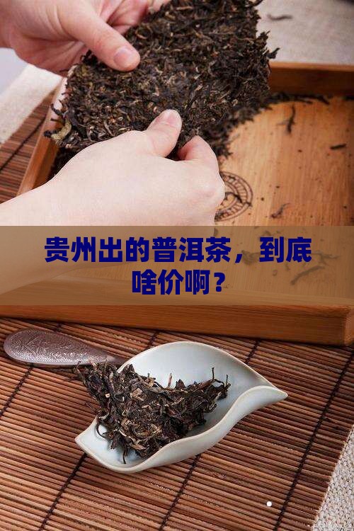 贵州特产普洱茶多少钱