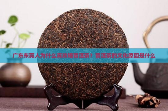 为什么东莞人喜欢喝普洱茶