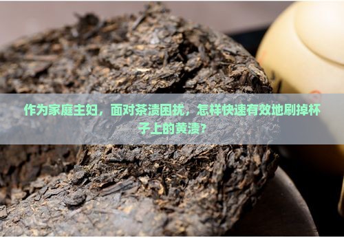 杯子被茶叶泡黄了怎么刷干净
