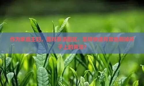 杯子被茶叶泡黄了怎么刷干净