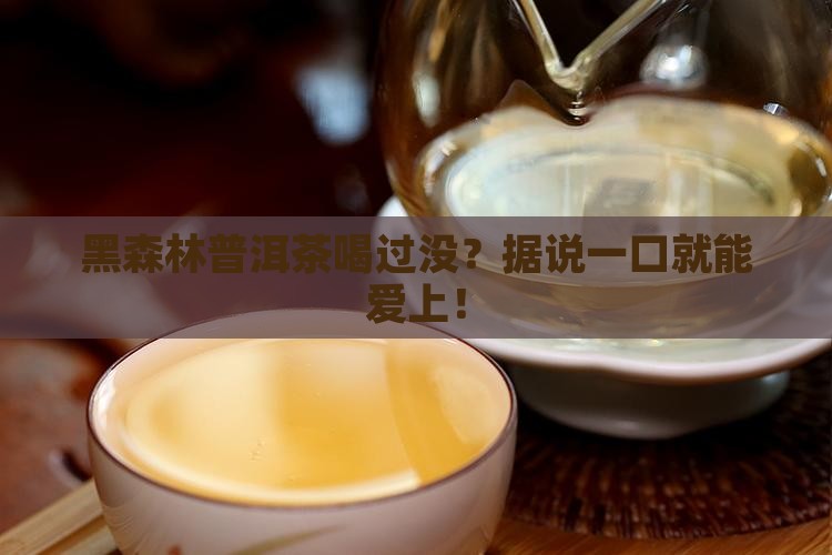 黑森林普洱茶好吗