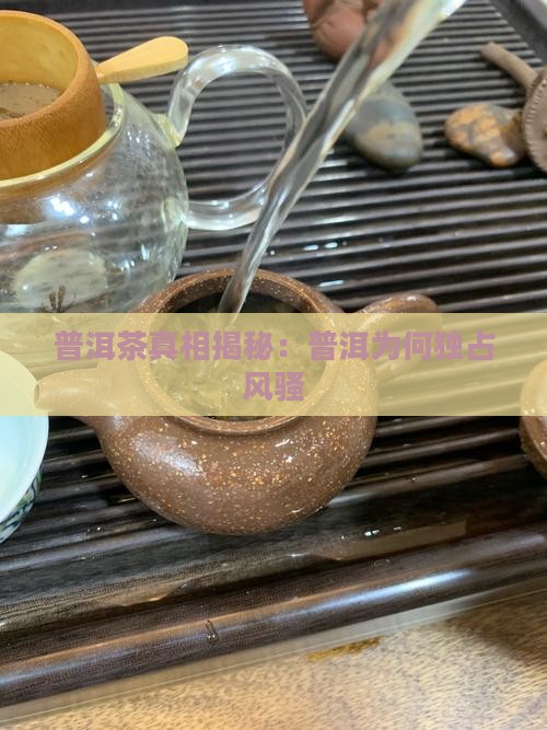 都是普洱茶装什么原因