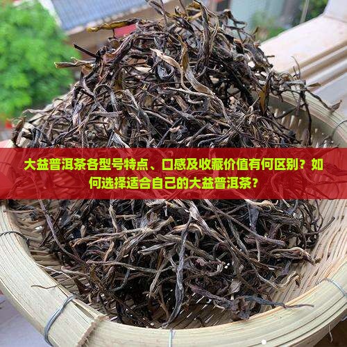 大益普洱茶型号区别