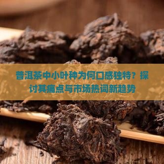 普洱茶中小叶种口感