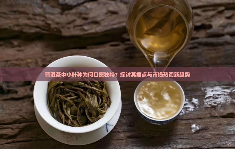 普洱茶中小叶种口感