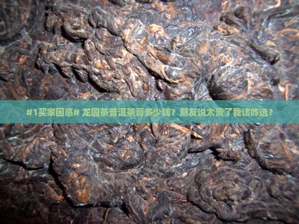 龙园茶普洱茶膏价格