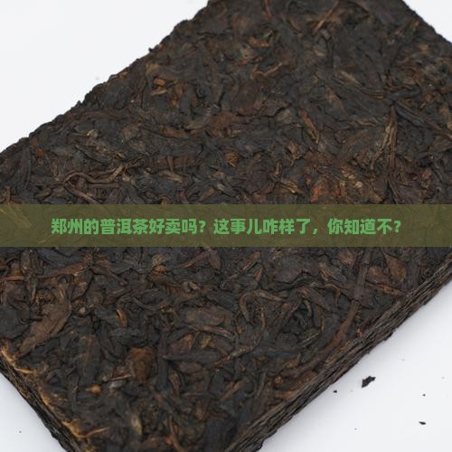 郑州普洱茶好卖不