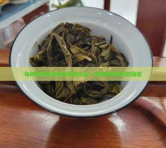 每种普洱茶都在什么山头