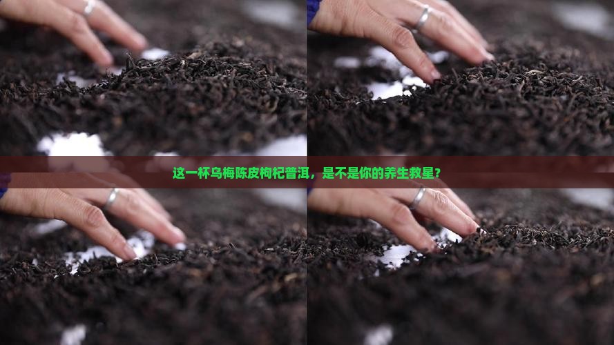 乌梅陈皮枸杞子茯苓普洱茶
