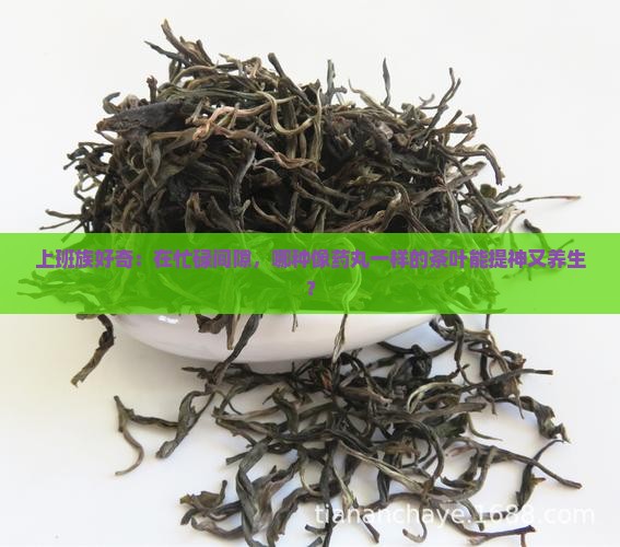 像药丸一样的茶叶是什么茶