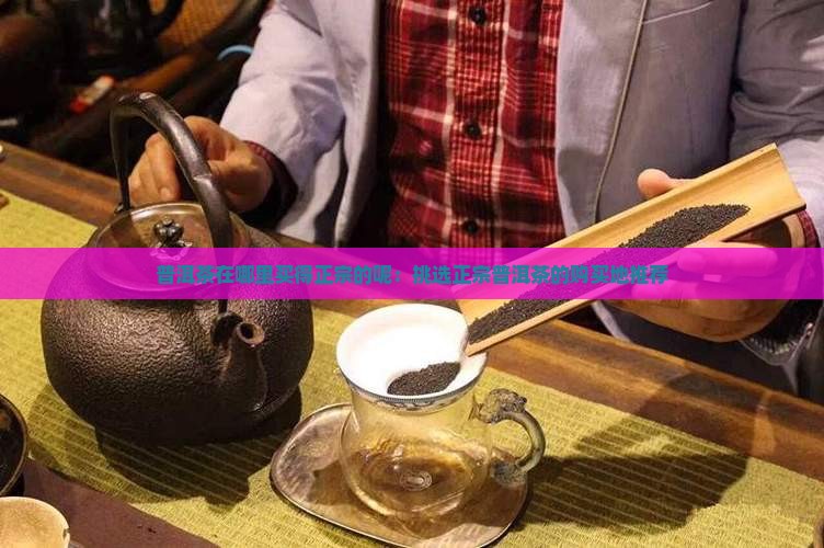 普洱茶在哪里买得正宗的呢