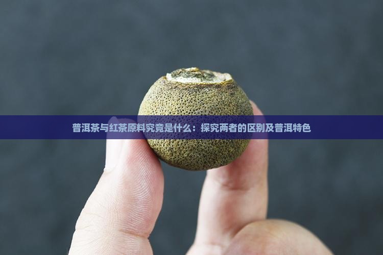 普洱茶和红茶的原料是什么