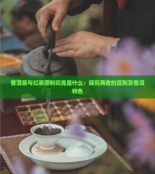 普洱茶和红茶的原料是什么