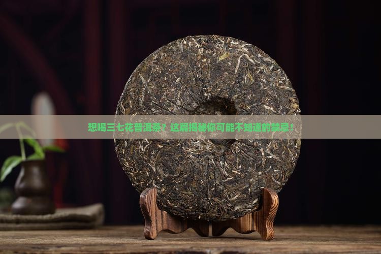 三七花普洱茶禁忌