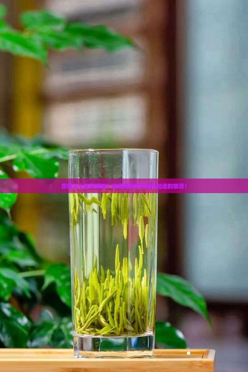 三七花普洱茶禁忌